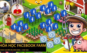 Facebook Farm